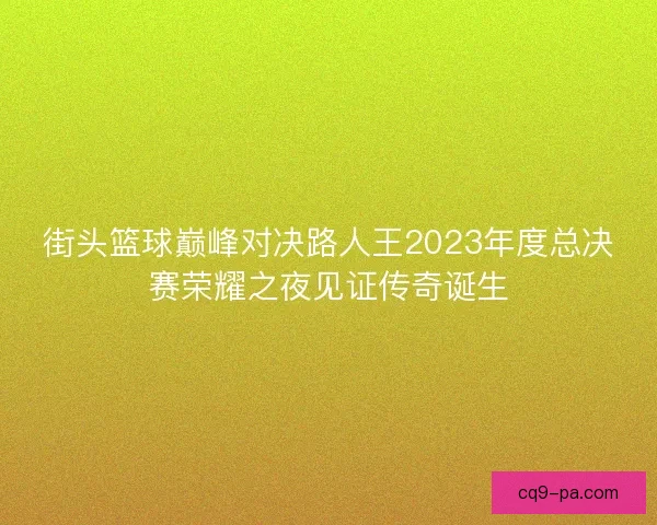 街头篮球巅峰对决路人王2023年度总决赛荣耀之夜见证传奇诞生